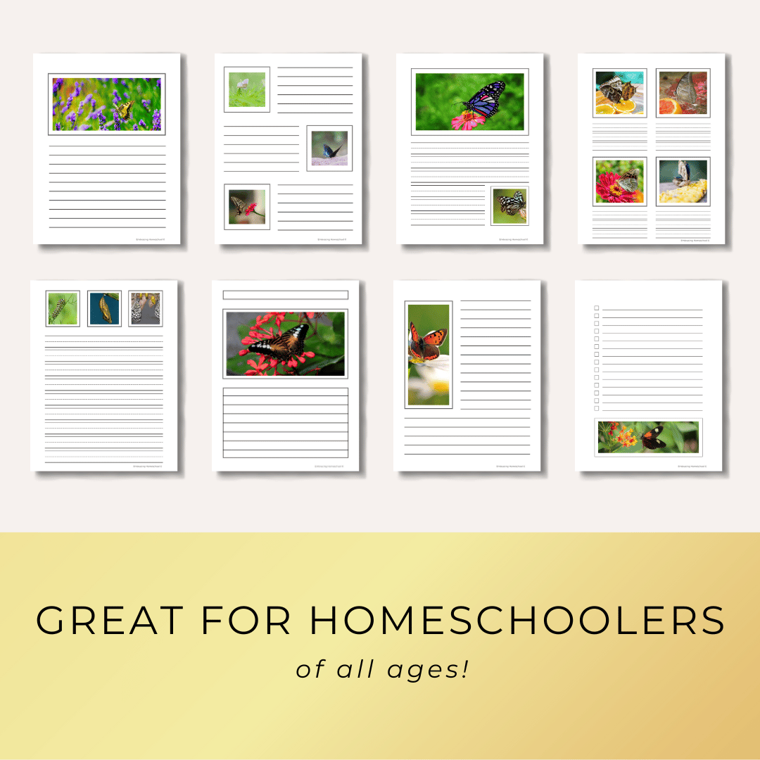 Butterflies notebooking pages printables for homeschoolers by Embracing Homeschool Shop