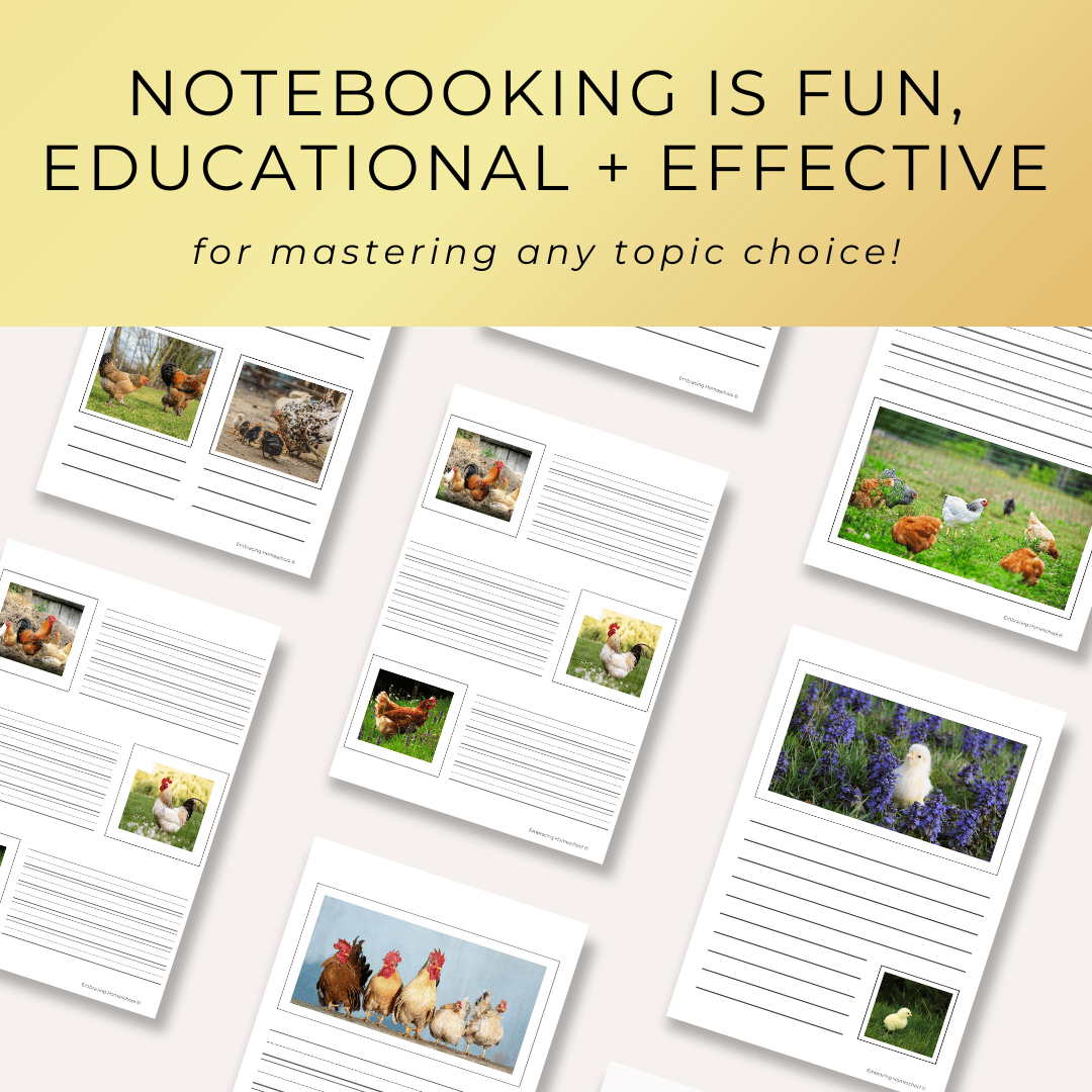 Chickens notebooking pages printables for homeschoolers by Embracing Homeschool Shop