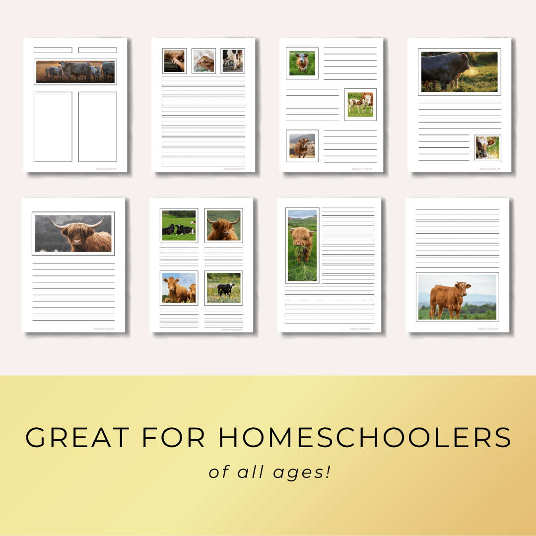 Cow notebooking Pages printables for homeschoolers by Embracing Homeschool Shop