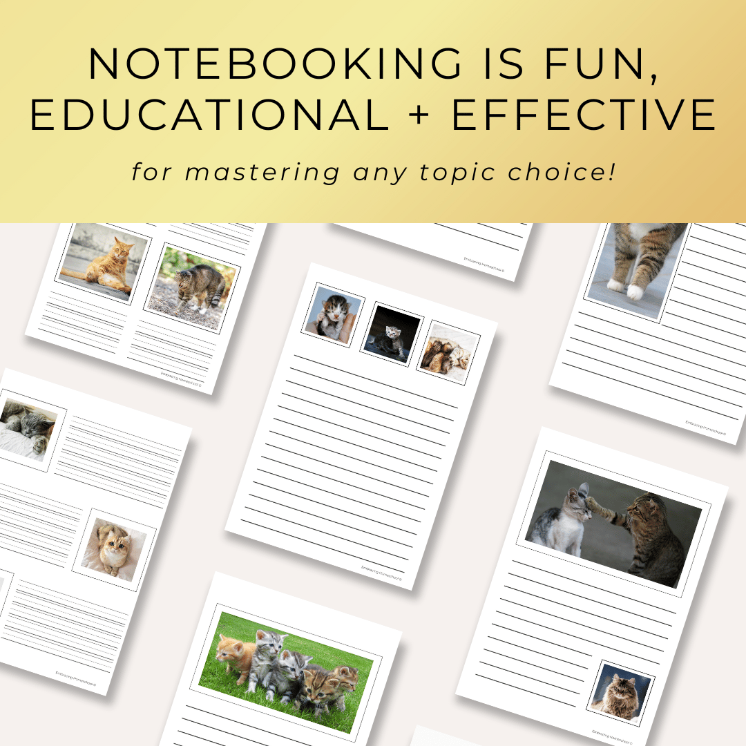 Domestic Cats Notebooking Pages Printables for homeschoolers by Embracing Homeschool Shop