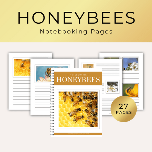 Honeybees Notebooking Pages printables for homeschoolers by Embracing Homeschool Shop