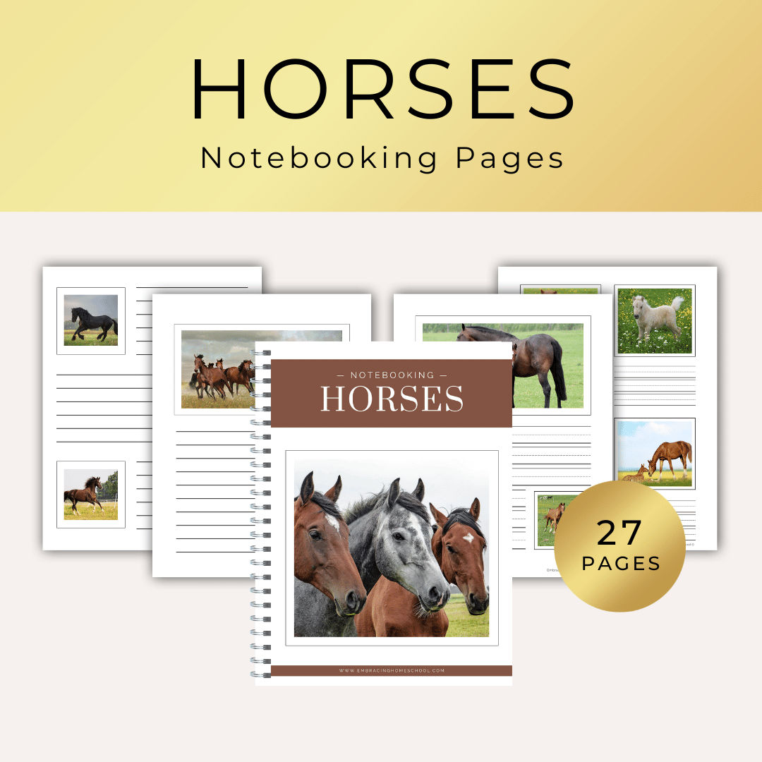 Horses Notebooking Pages Printables for homeschoolers by Embracing Homeschool Shop