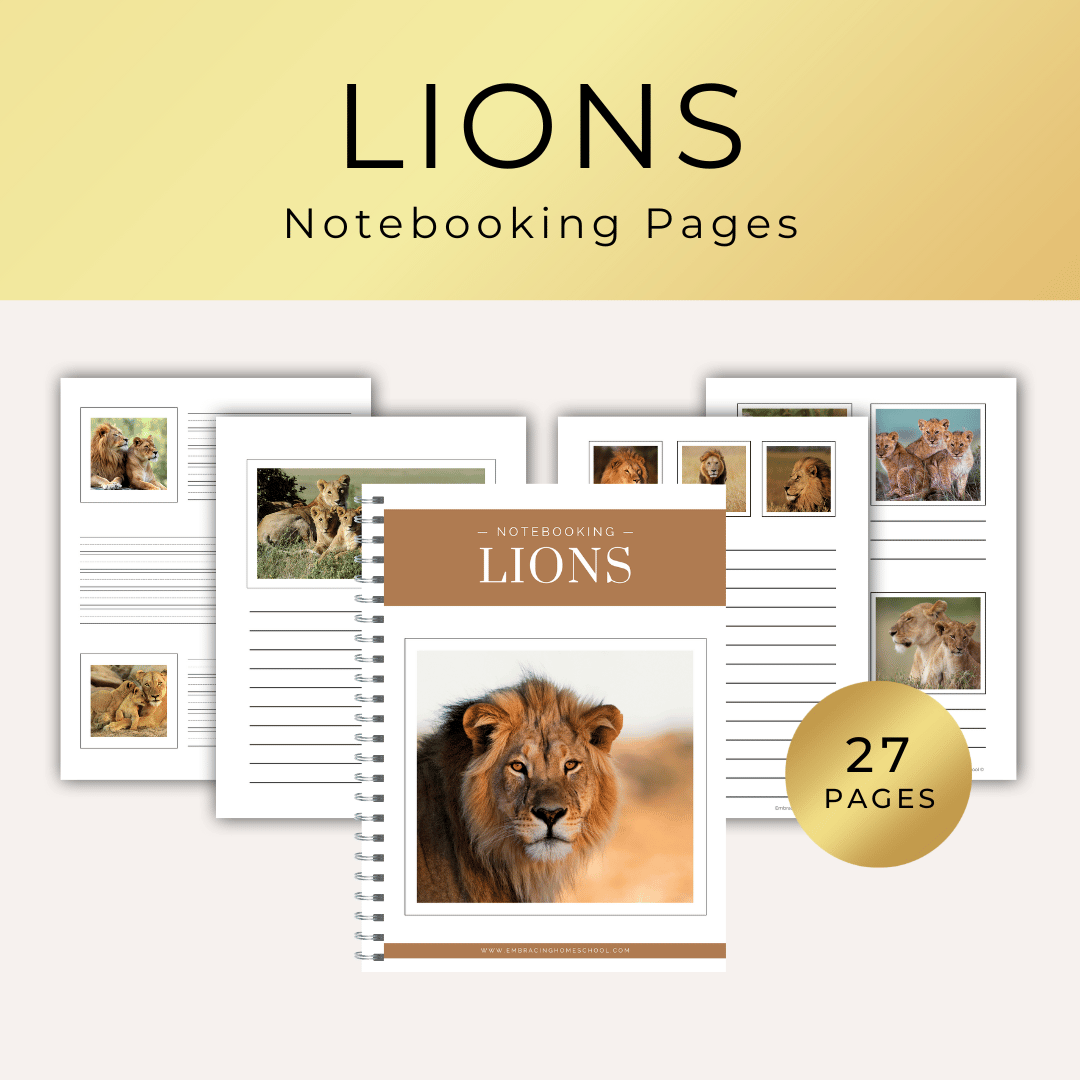 Lion Notebooking Pages printables for homeschoolers by Embracing Homeschool Shop