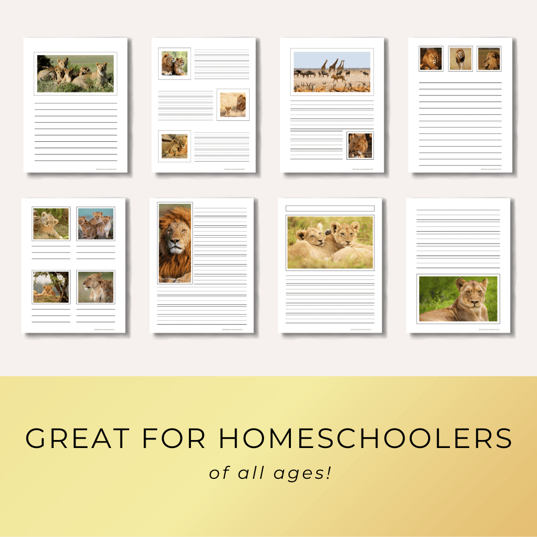 Lion Notebooking Pages printables for homeschoolers by Embracing Homeschool Shop