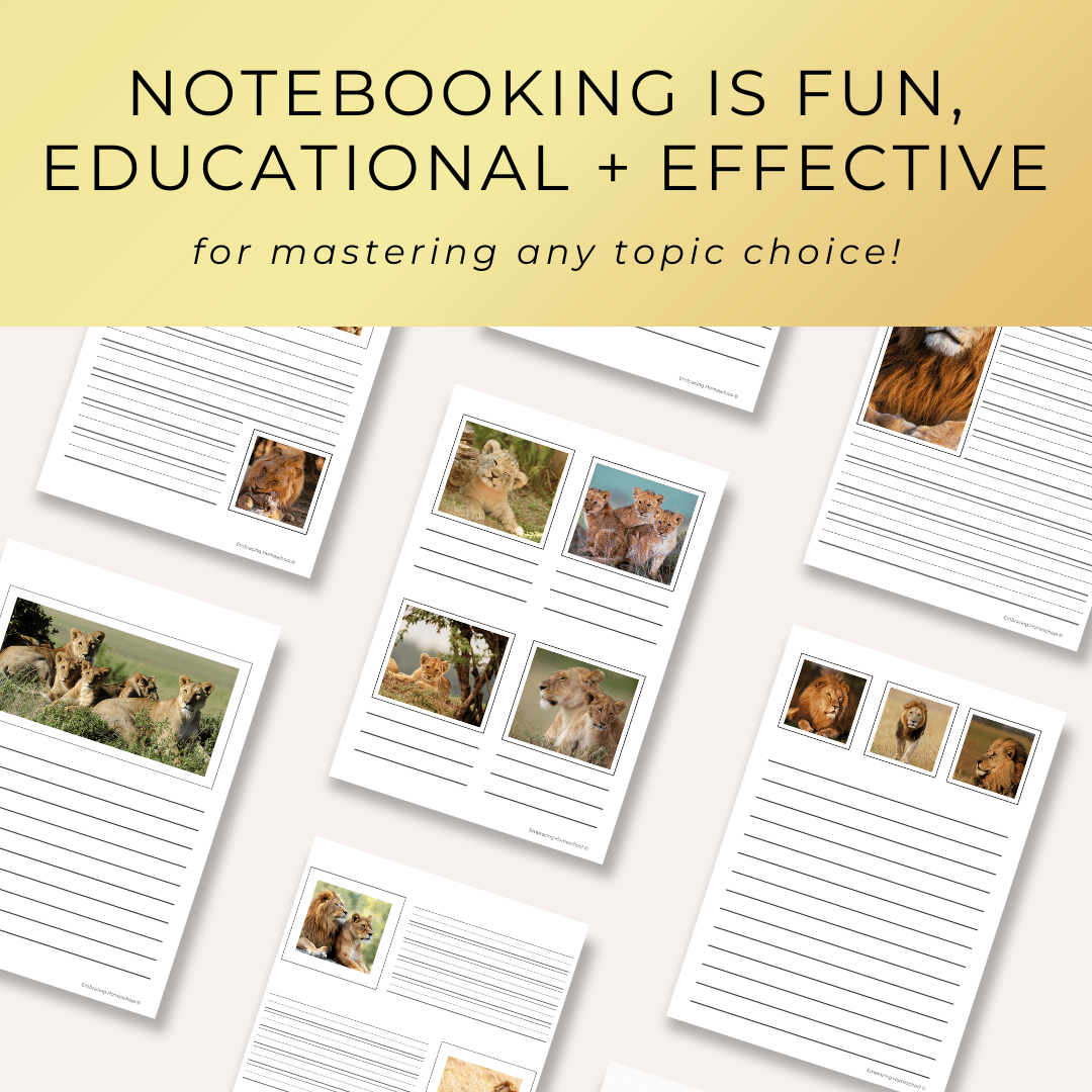 Lion Notebooking Pages printables for homeschoolers by Embracing Homeschool Shop