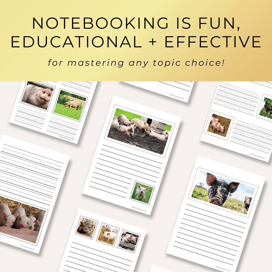 Pigs Notebooking Pages Printables for homeschoolers by Embracing Homeschool Shop