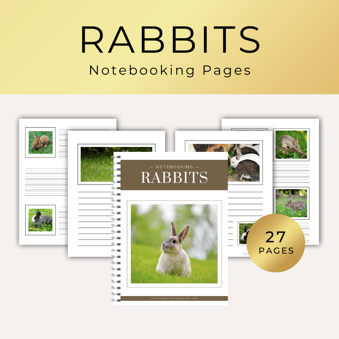 Rabbit notebooking pages printables for homeschoolers from Embracing Homeschool Shop