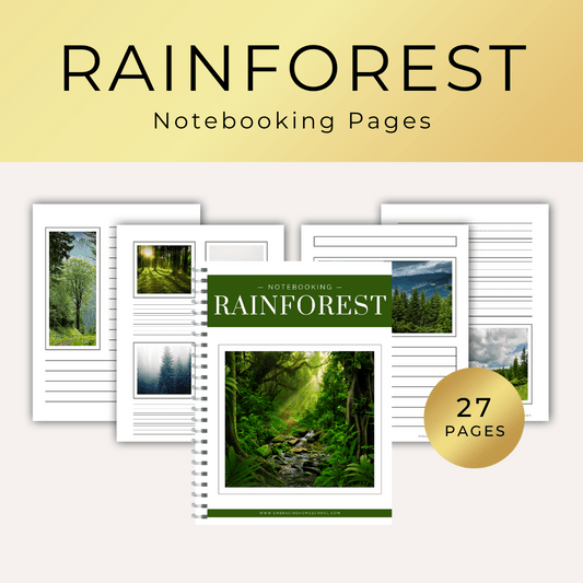 Rainforest Notebooking Pages printables from Embracing Homeschool Shop
