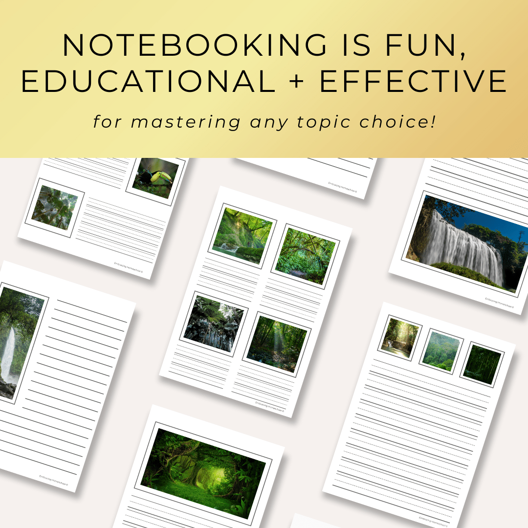 Rainforest Notebooking Pages printables from Embracing Homeschool Shop