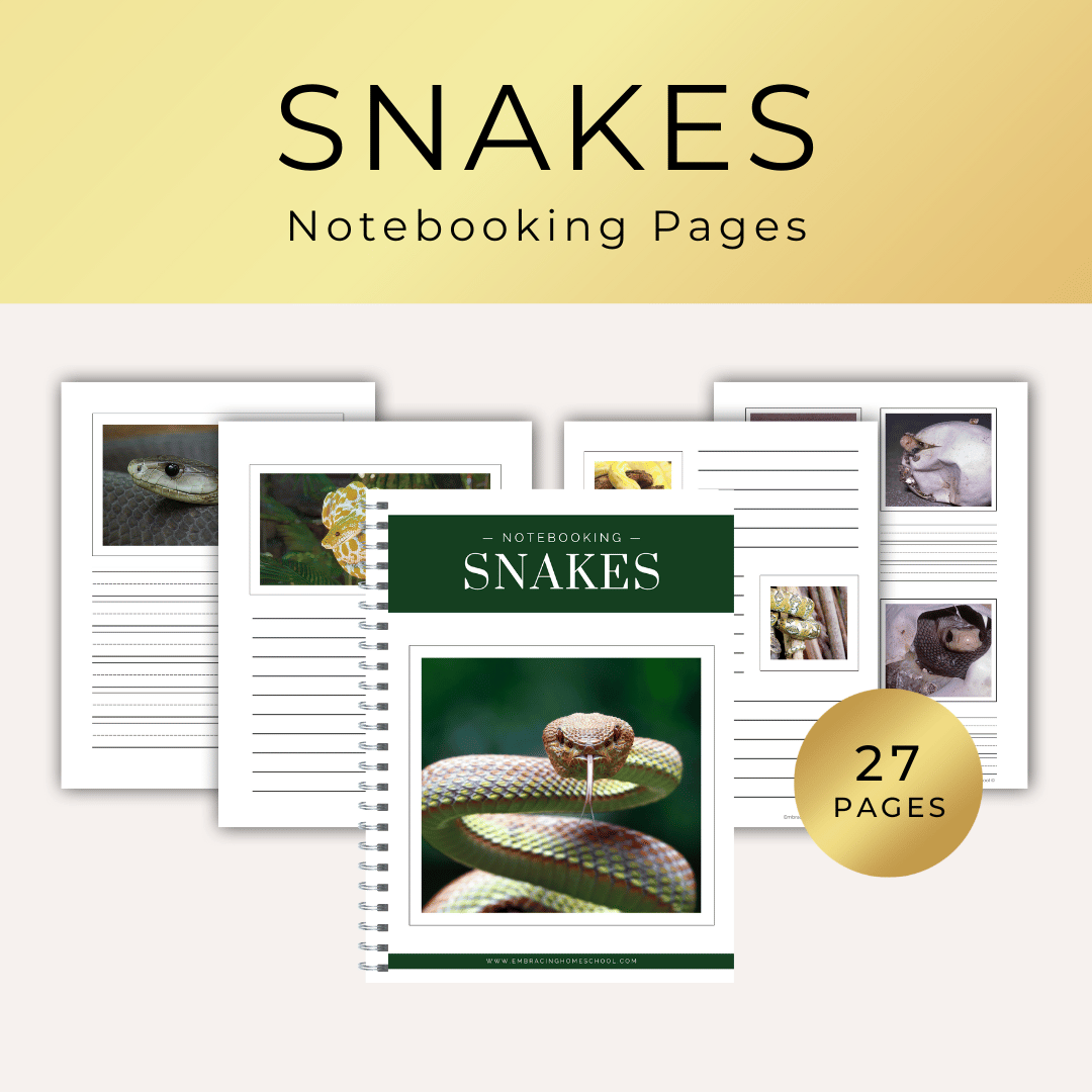 Snakes Notebooking Pages Printables for homeschoolers by Embracing Homeschool Shop