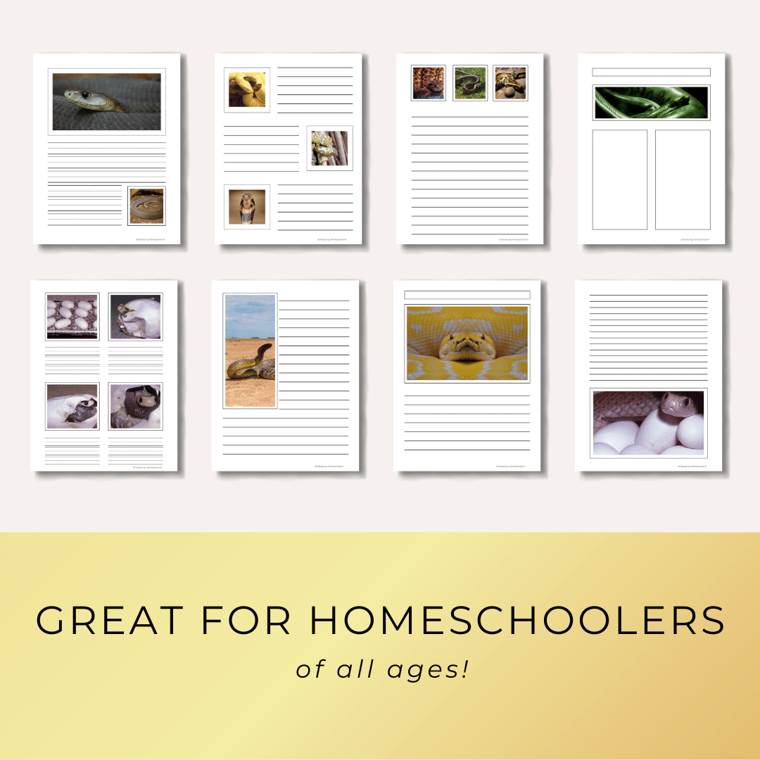 Snakes Notebooking Pages Printables for homeschoolers by Embracing Homeschool Shop