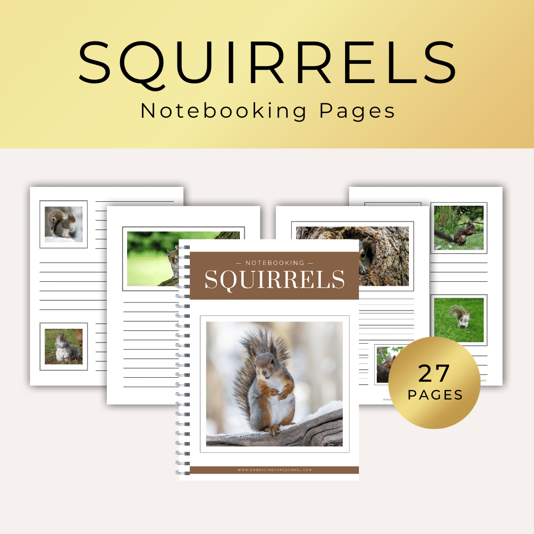 Squirrels notebooking pages printables for homeschoolers from Embracing Homeschool Shop