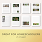 Tiger Notebooking Pages Printables  for homeschoolers by Embracing Homeschool Shop