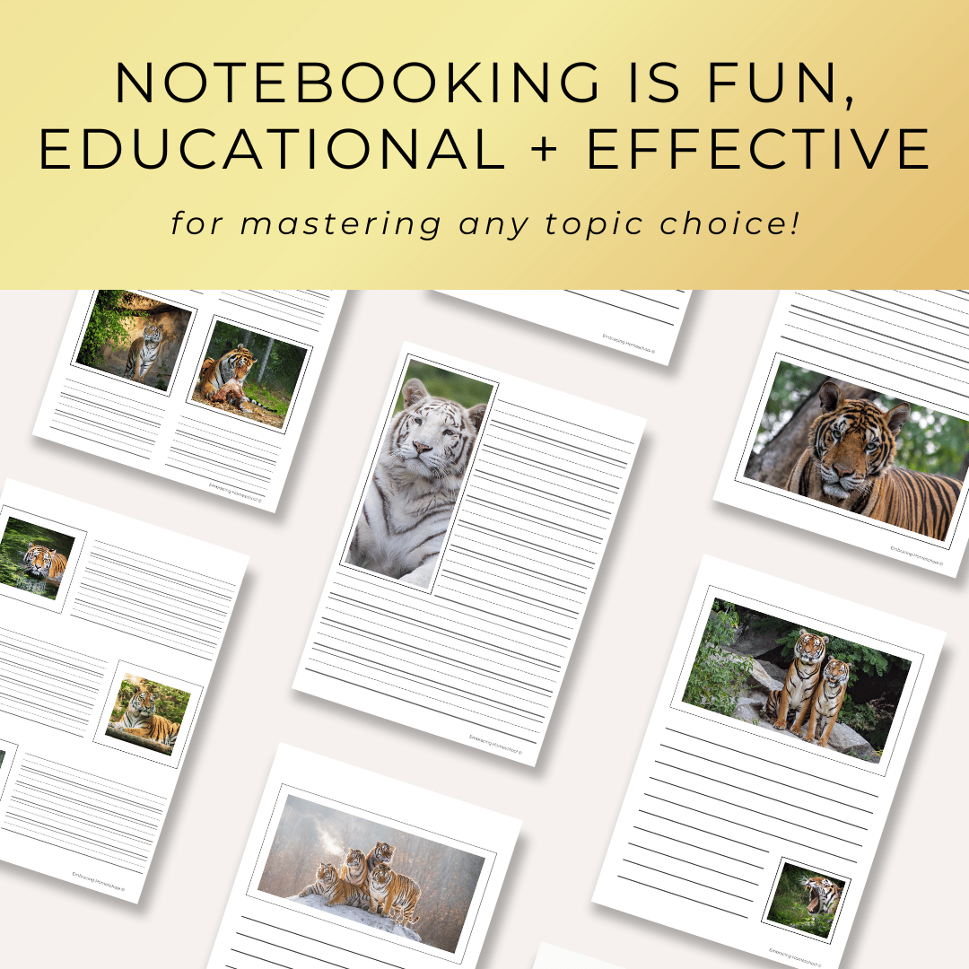 Tiger Notebooking Pages Printables  for homeschoolers by Embracing Homeschool Shop