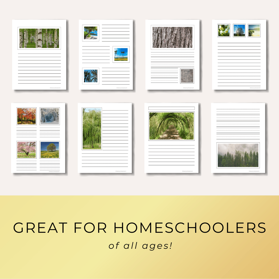 Trees Notebooking Pages Printables from Embracing Homeschool Shop